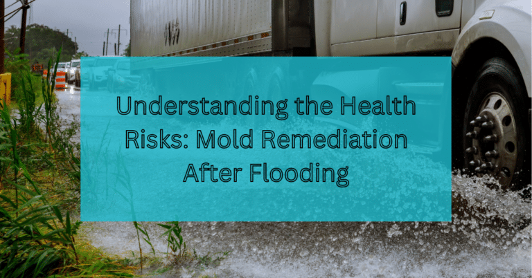 Understanding the Health Risks Mold Remediation After Flooding
